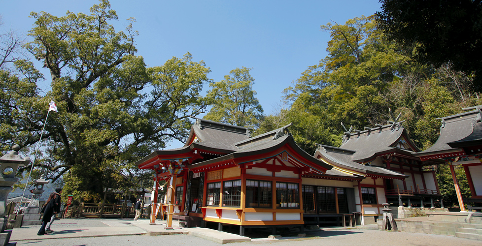 鹿児島 蒲生八幡神社 日本一の巨樹